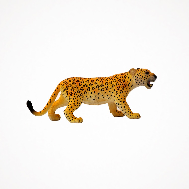 디어밀림 야생동물 (표범) Leopard