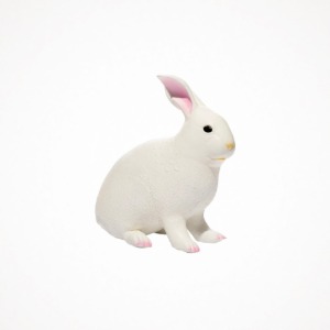 디어밀림 야생동물 (흰색 토끼 대형) White Rabbit Large