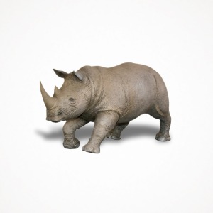 디어밀림 야생동물 (코뿔소) Rhino